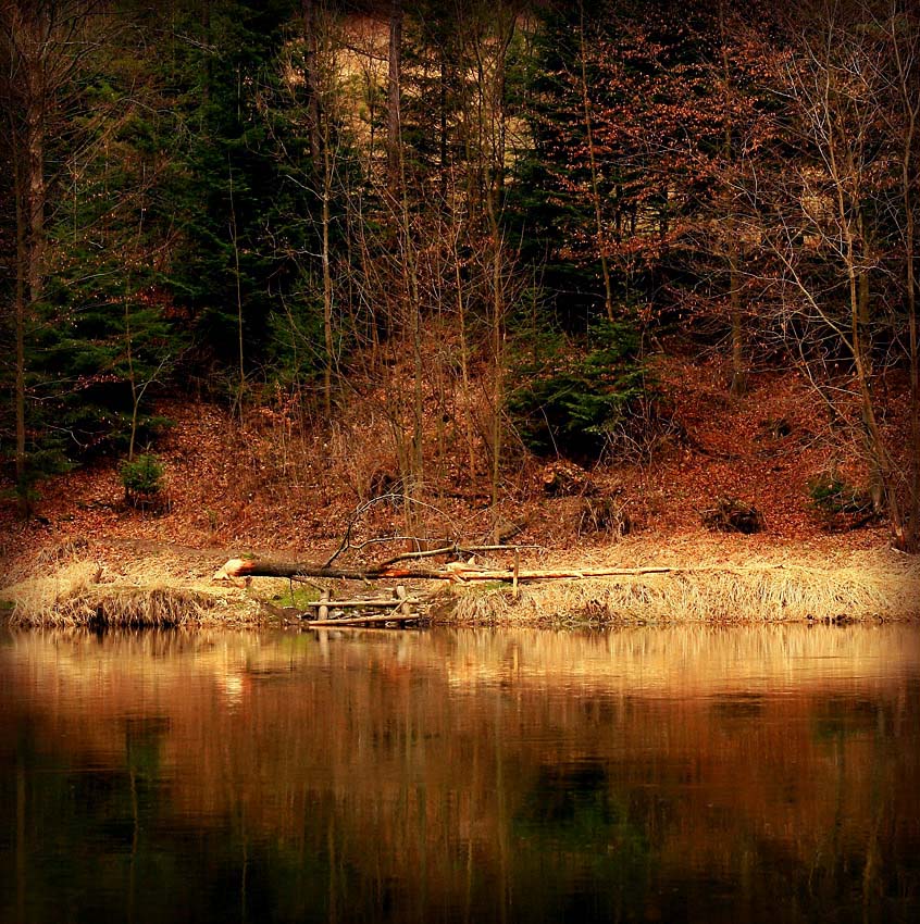 Pieniny