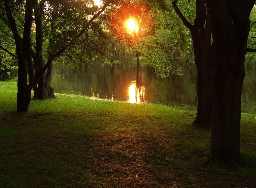 Park we Włocławku