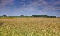 Czerwone Bagno HDR