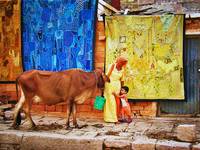 United colours of Jaisalmer