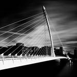 Samuel Beckett Bridge