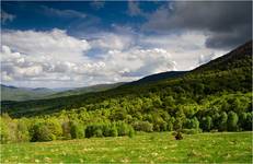 Bieszczady wiosną #3