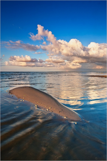 dzika plaża