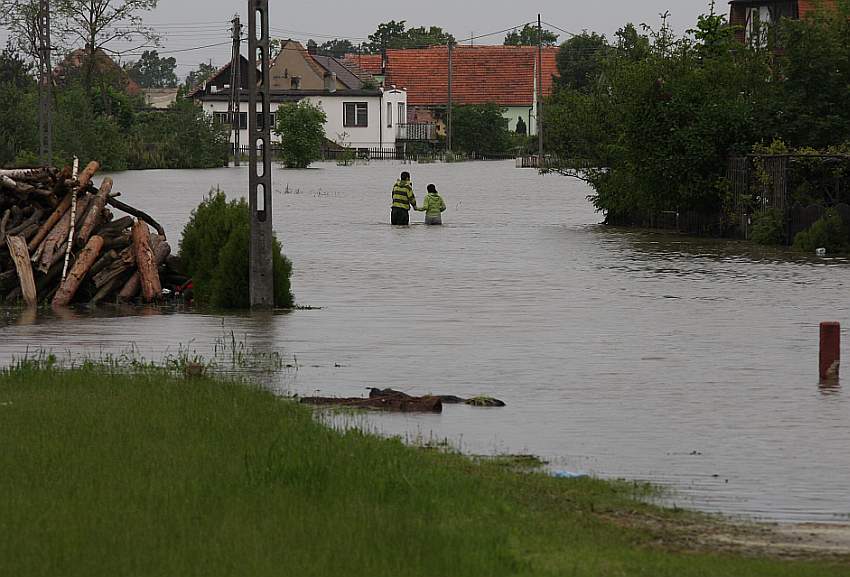 Krzysiek Legnica