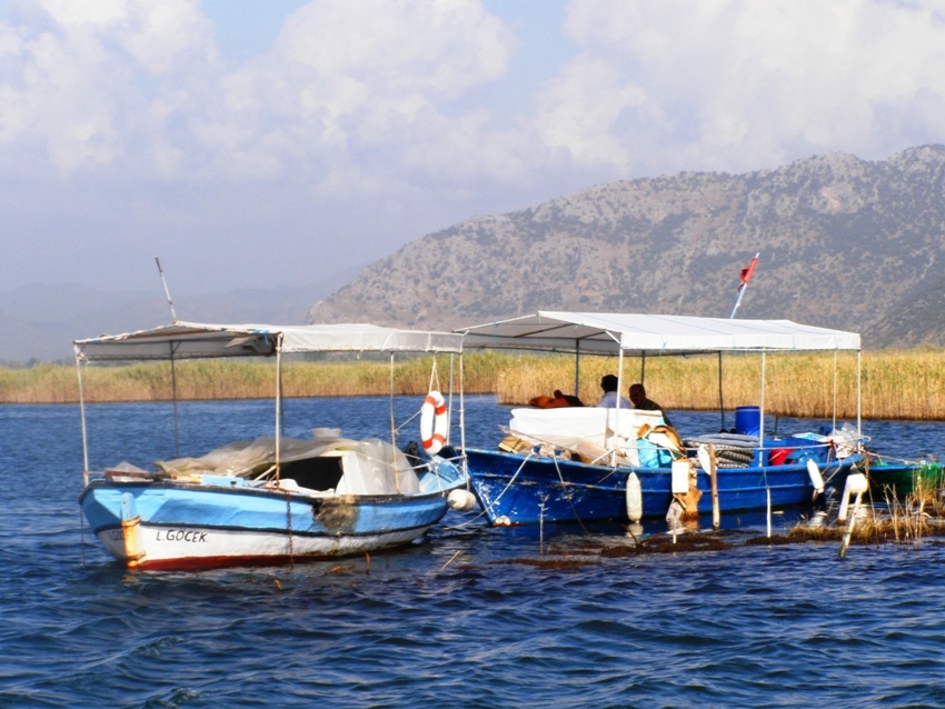 Łodzie na rzece Dalyan