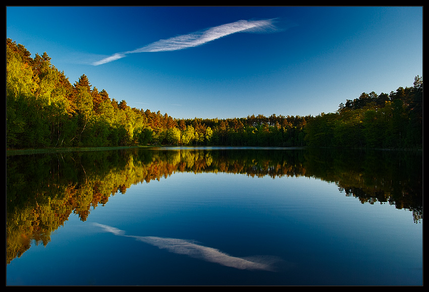 Perfect Reflection...