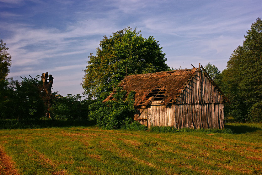 Ciepłym popołudniem