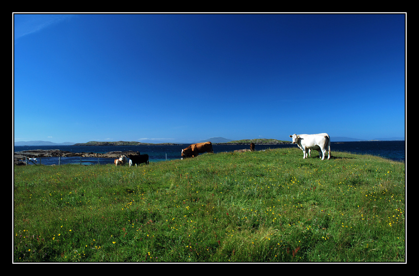 Connemara (Irlandia)