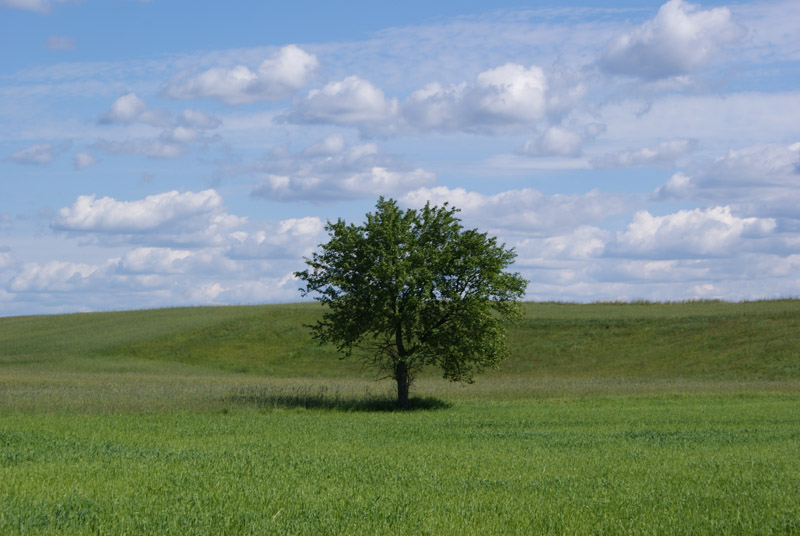 lagodnośc natury