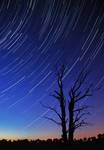 startrails