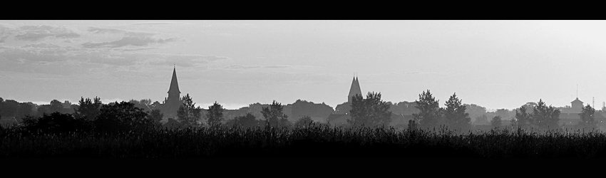 panorama Ostródy z krzaków