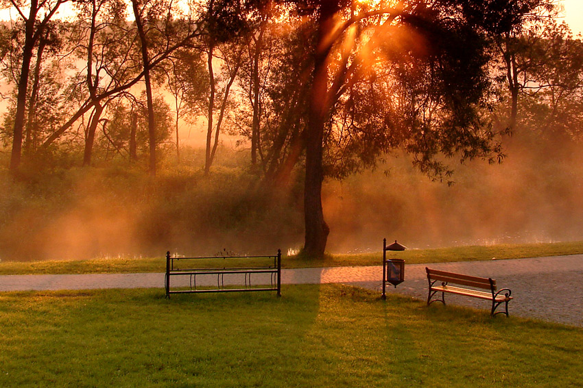 poranek  nad rzeką