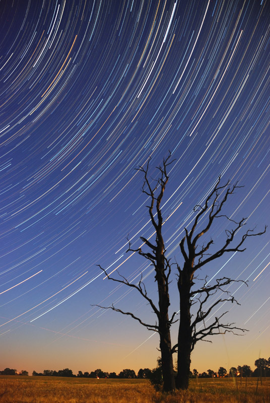 Startrails