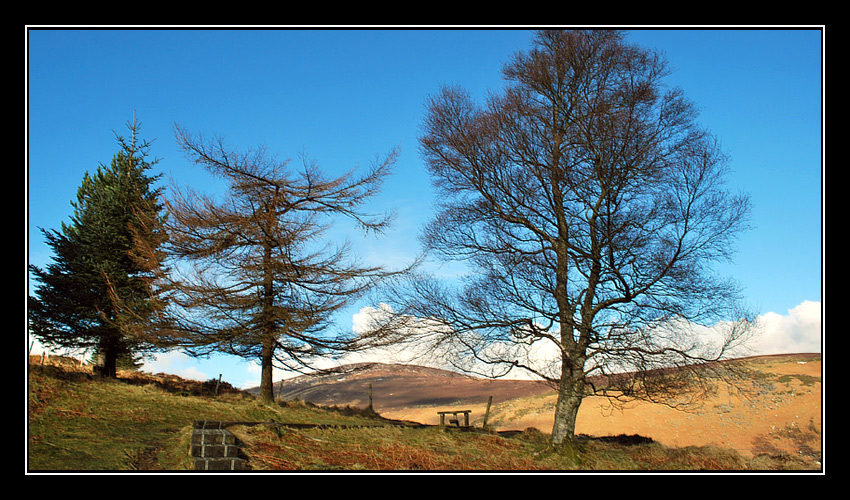 Glendalough