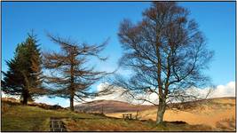 Glendalough