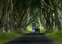 The Dark Hedges