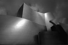 Walt Disney Concert Hall,Los Angeles