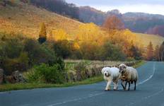 Bieszczady