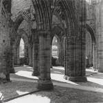 Tintern Abbey