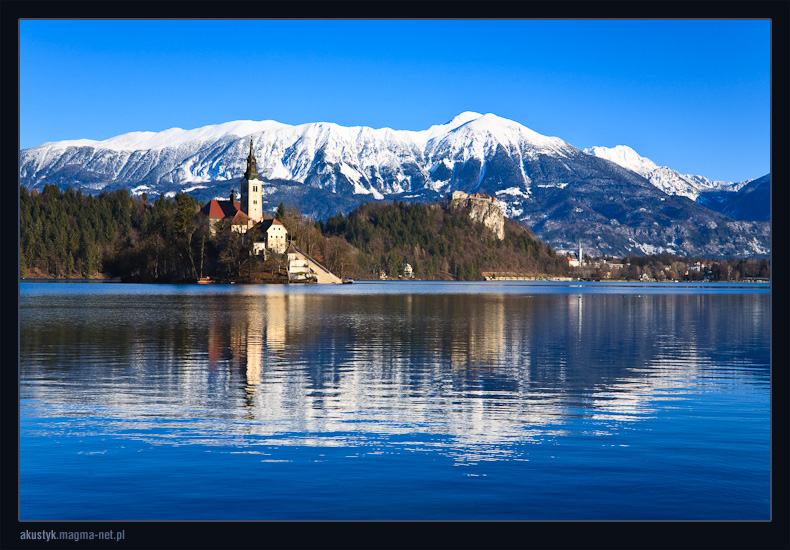 bled