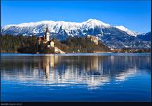 bled