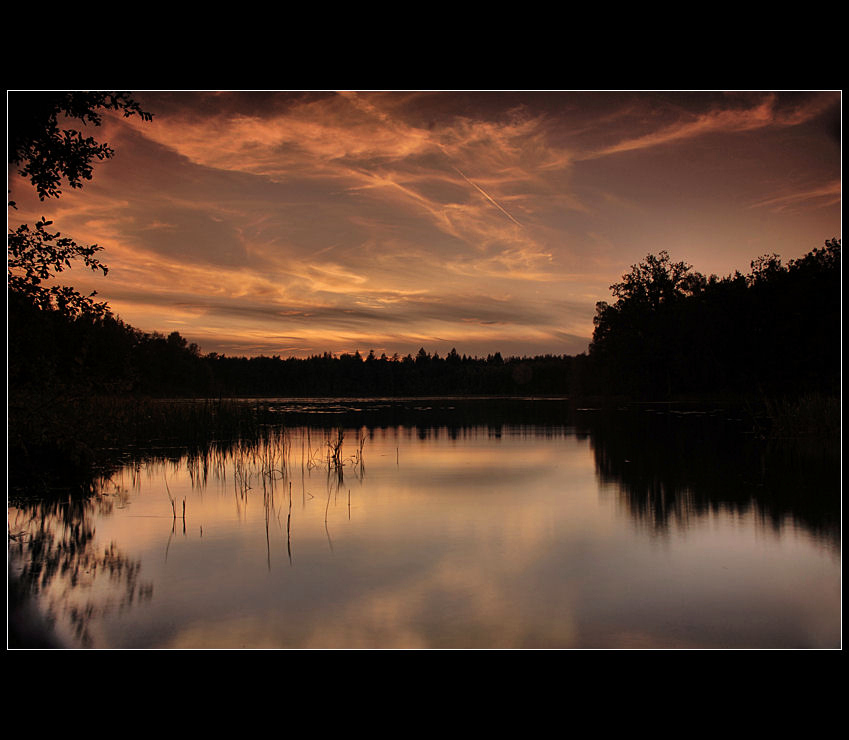 Nocne cudeńka