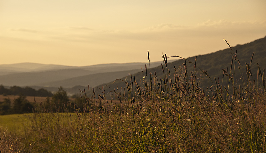 Beskid Niski