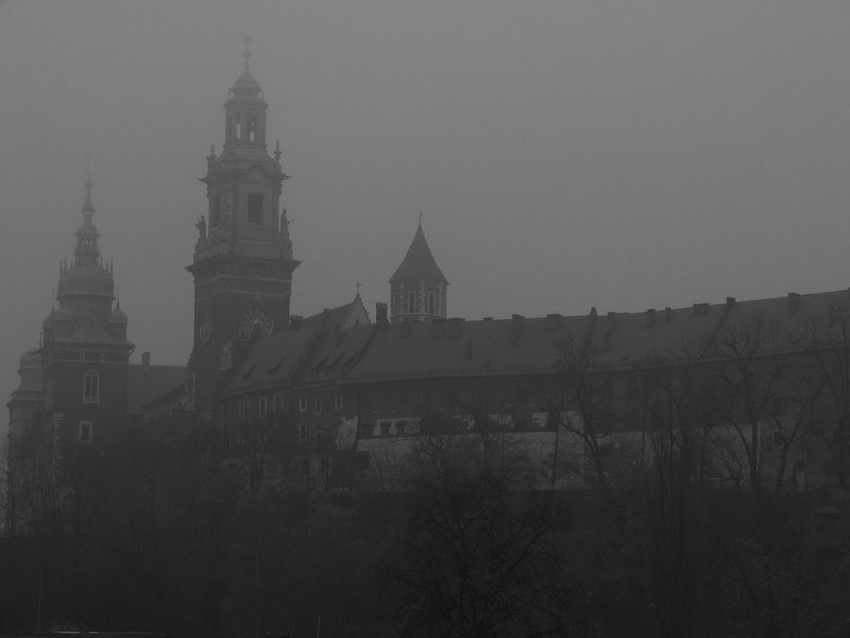 Wawel za mgłą