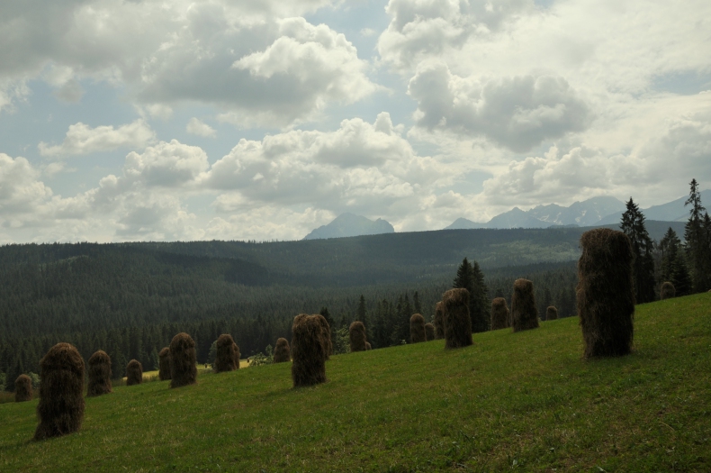 Tatry