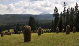 Tatry