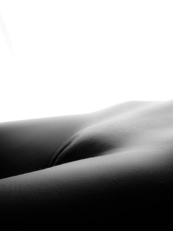 bodyscapes