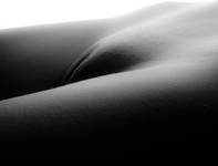 bodyscapes