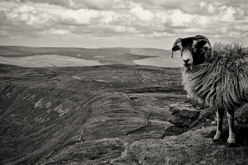 Yorkshire Dales