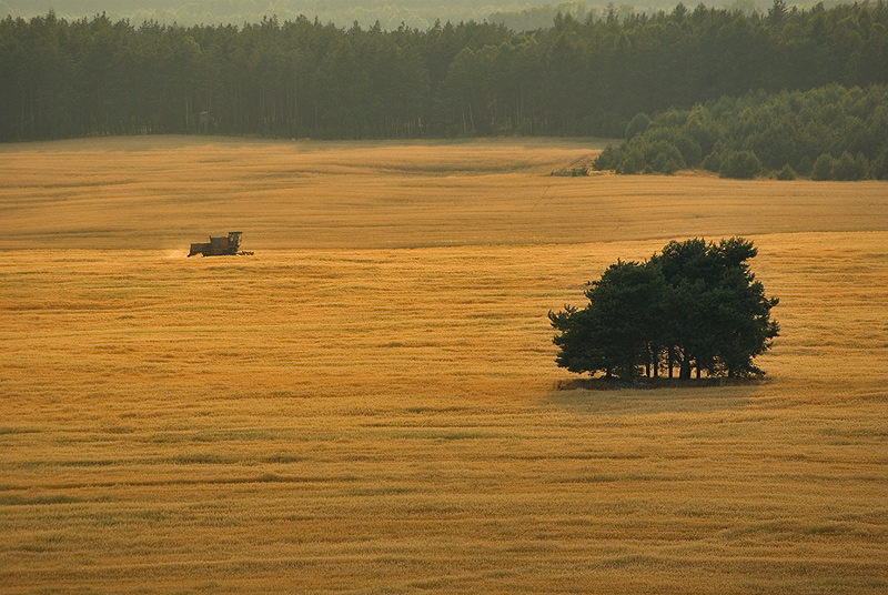 Czas na żniwa