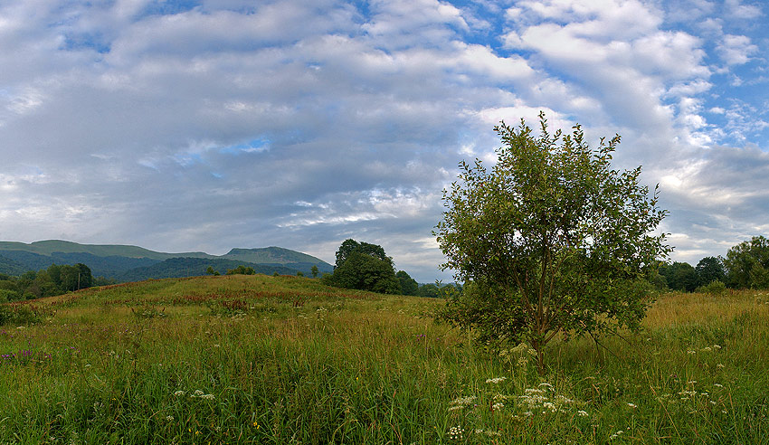 Bieszczady