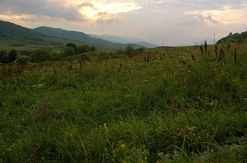 Bieszczady