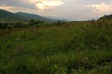 Bieszczady