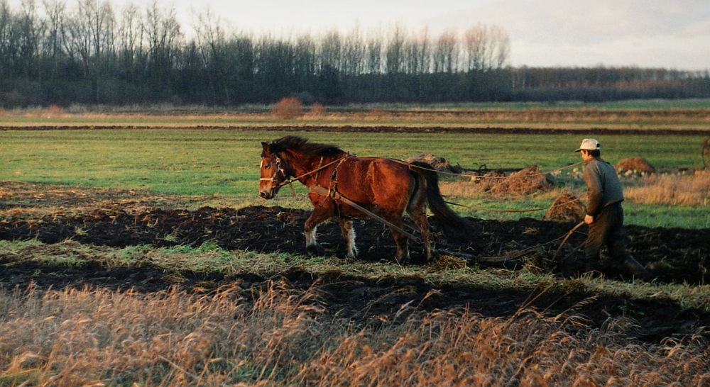 Obrazek z dawnych lat