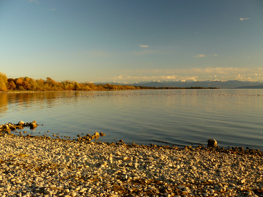 Bodensee