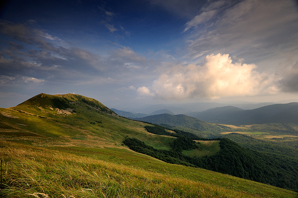 Tarnica