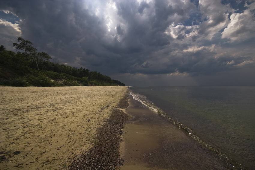 Dzika plaża