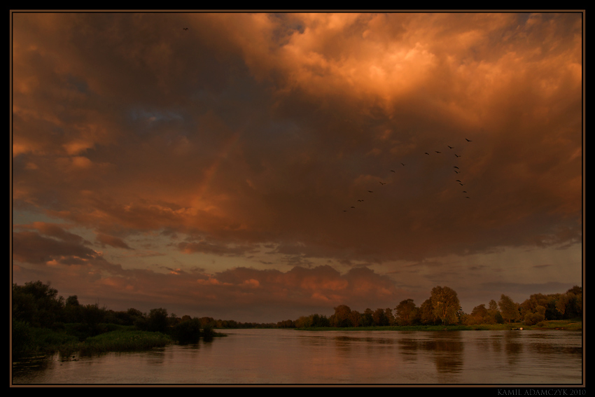 Narew