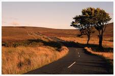 sally gap, gory wicklow