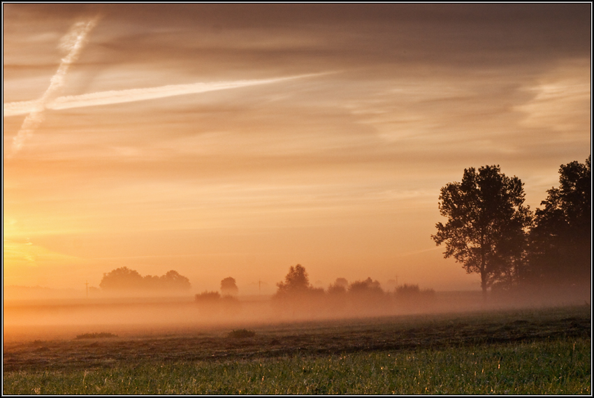 Podlasie