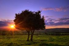 Slemish Hills