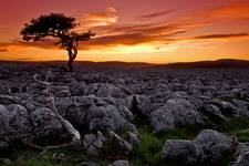 Limestone Rock - Yorkshire Dales UK