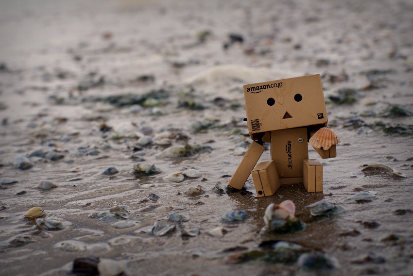 Muszelka Danbo