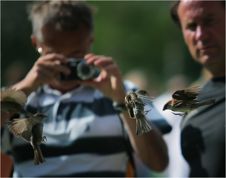 Photo session