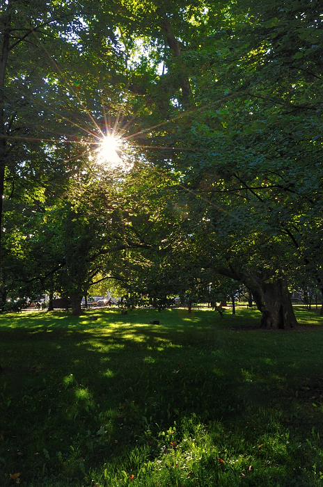 Taki sobie park