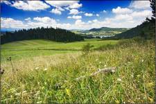 kolejny widoczek z wyjazu w Pieniny